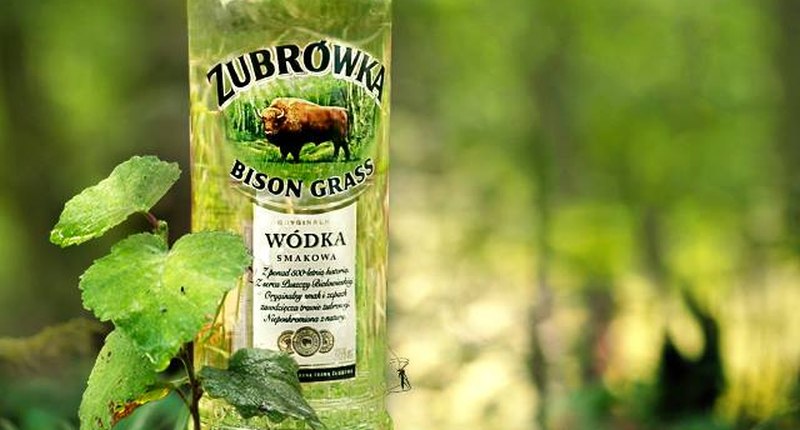 vodka Zubrowka